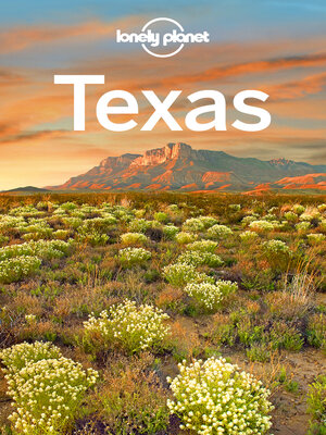 cover image of Lonely Planet Texas